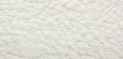 Anilin Leather White 001